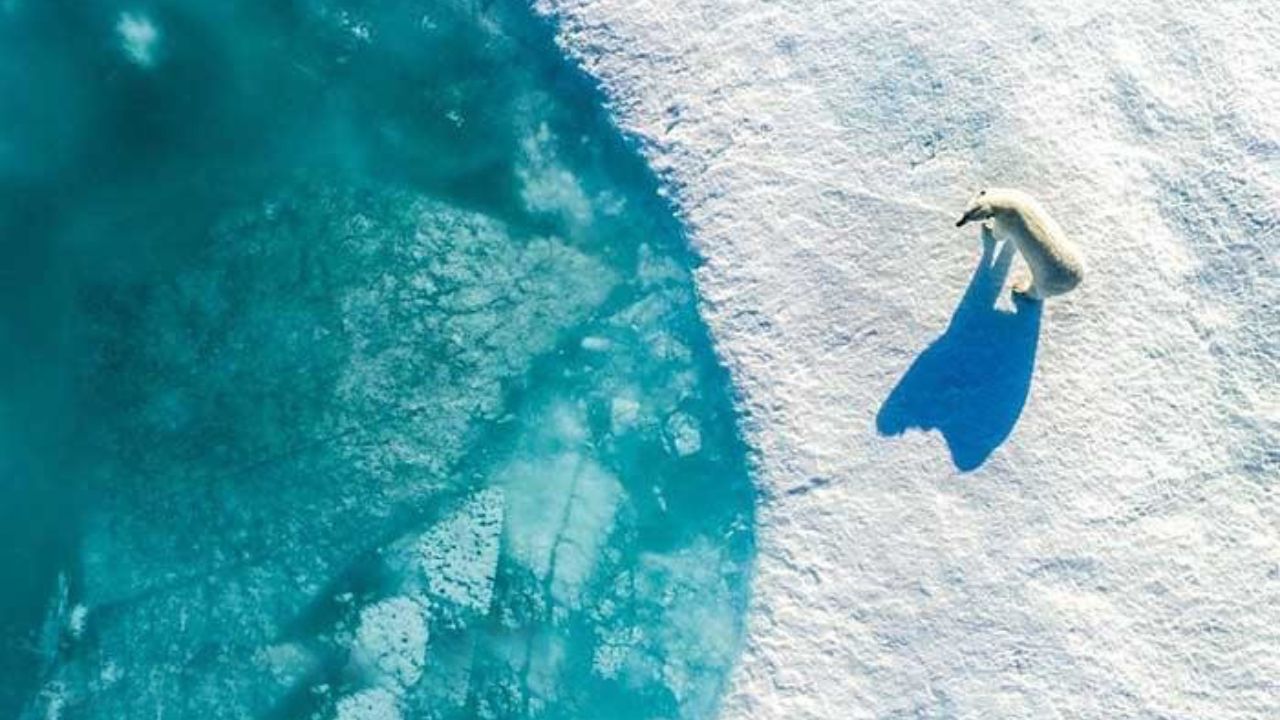 درونستگرام 