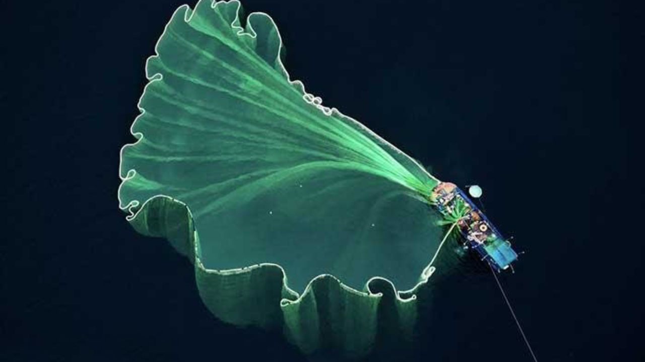 درونستگرام 