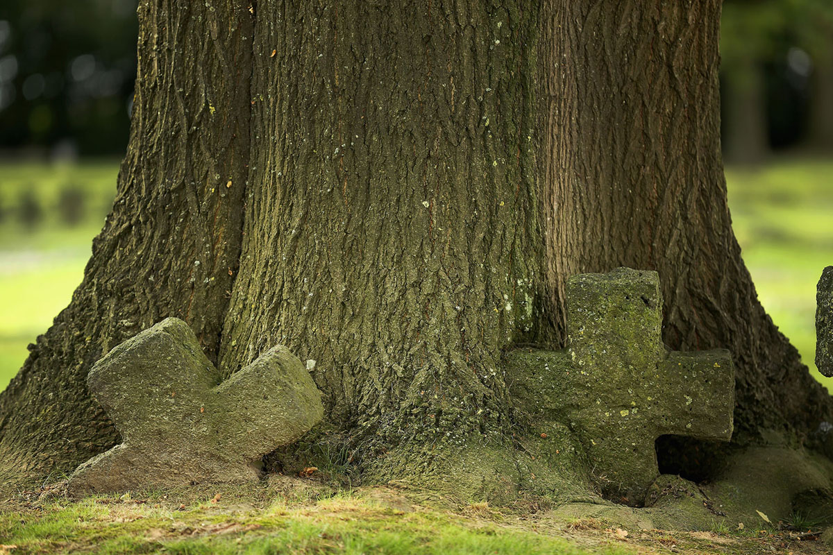 جنگ جهانی اول