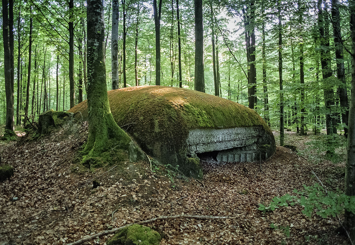 جنگ جهانی اول