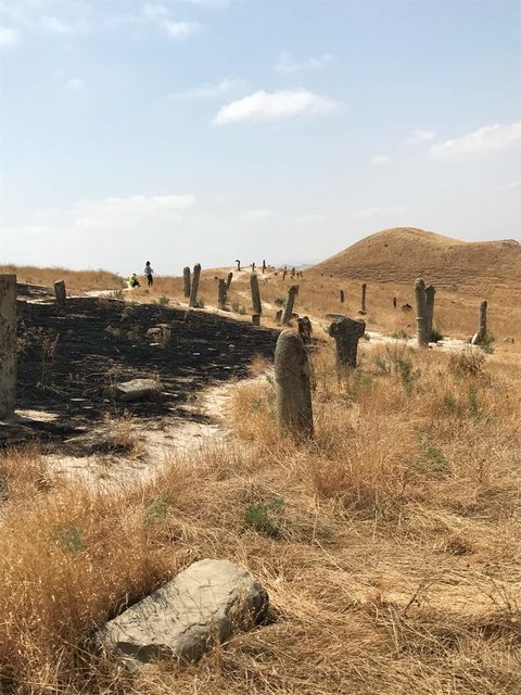 خالد نبی