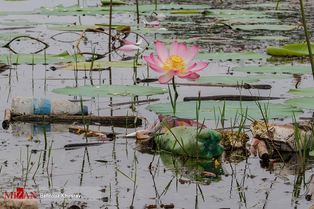 روز جهانی بدون پلاستیک