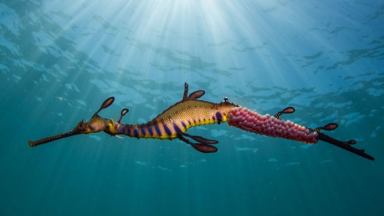 عکس روز نشنال جئوگرافیک