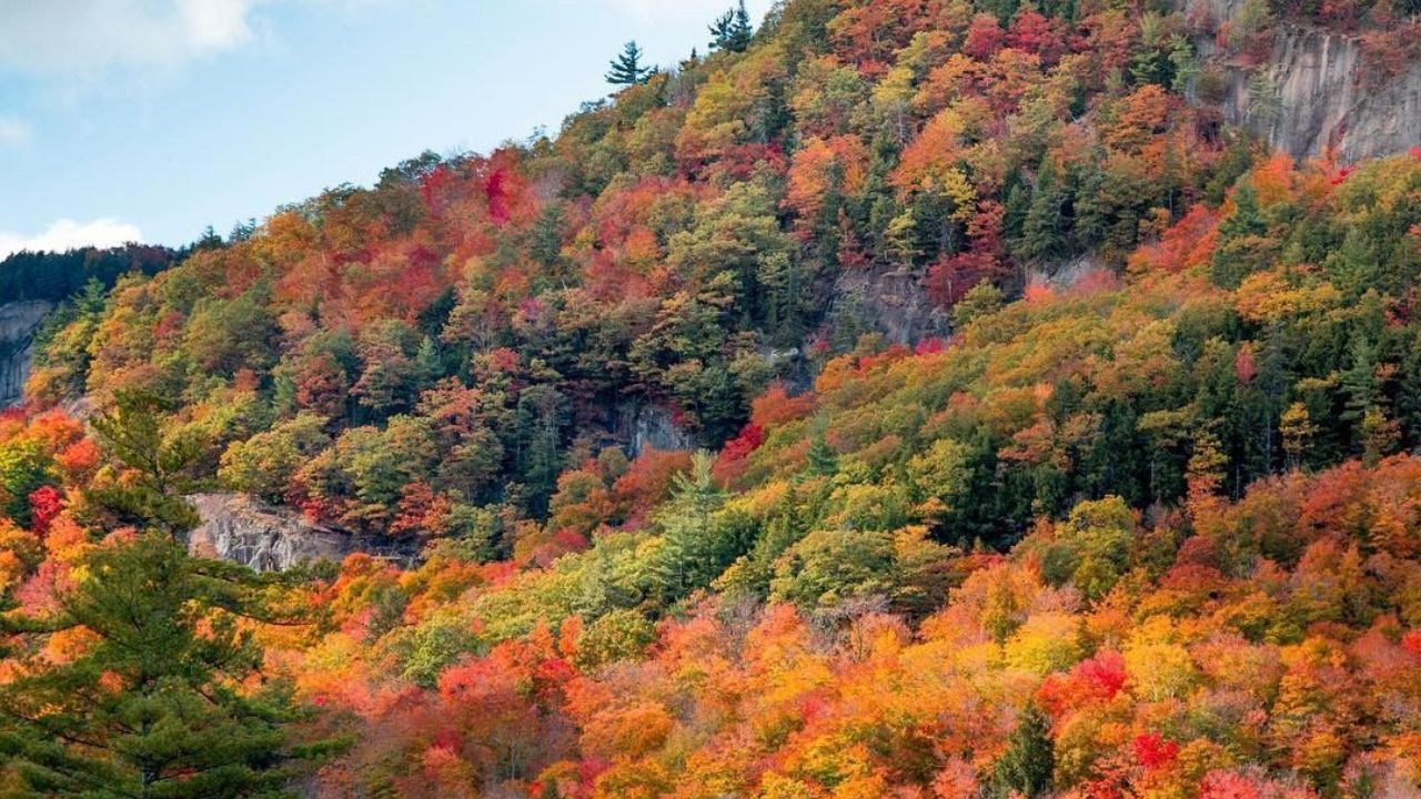 عکس روز اینستاگرام