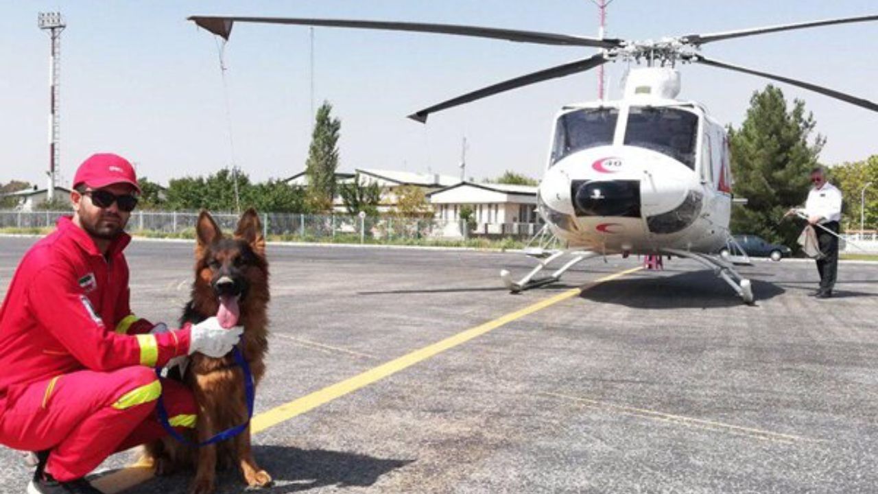 سگ زنده یاب