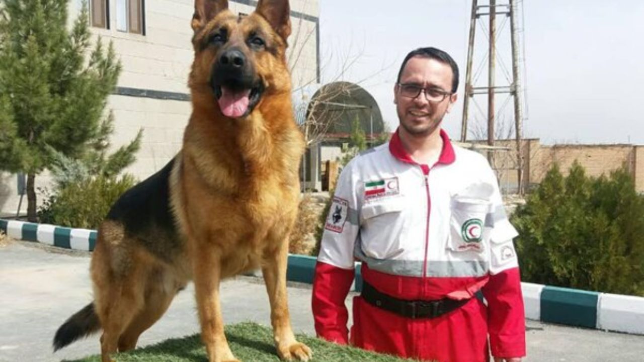 سگ زنده یاب