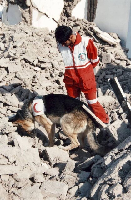 سگ زنده یاب