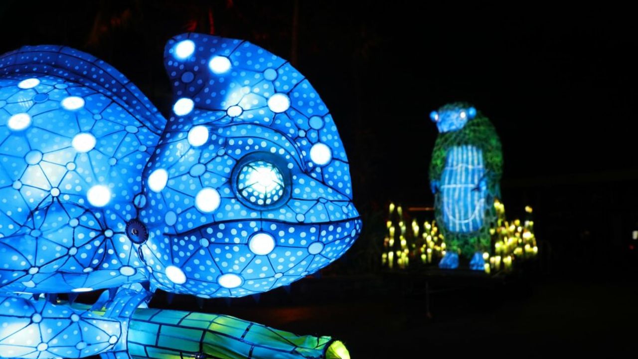 مجسمه های درخشان