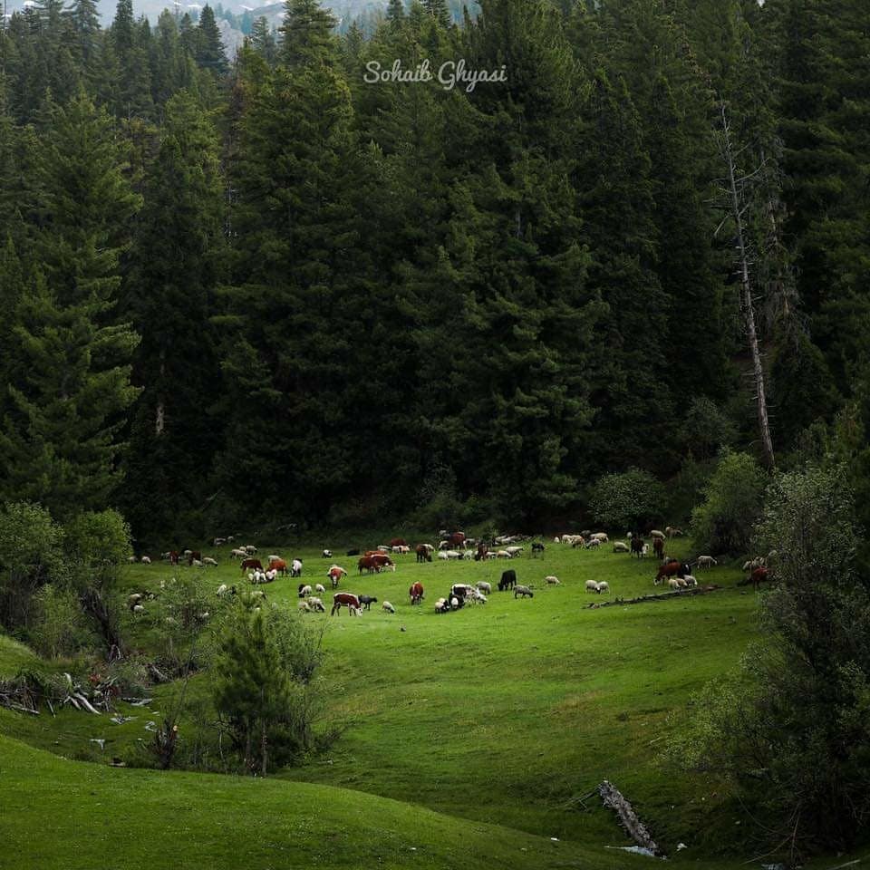 ولایت نورستان افغانستان