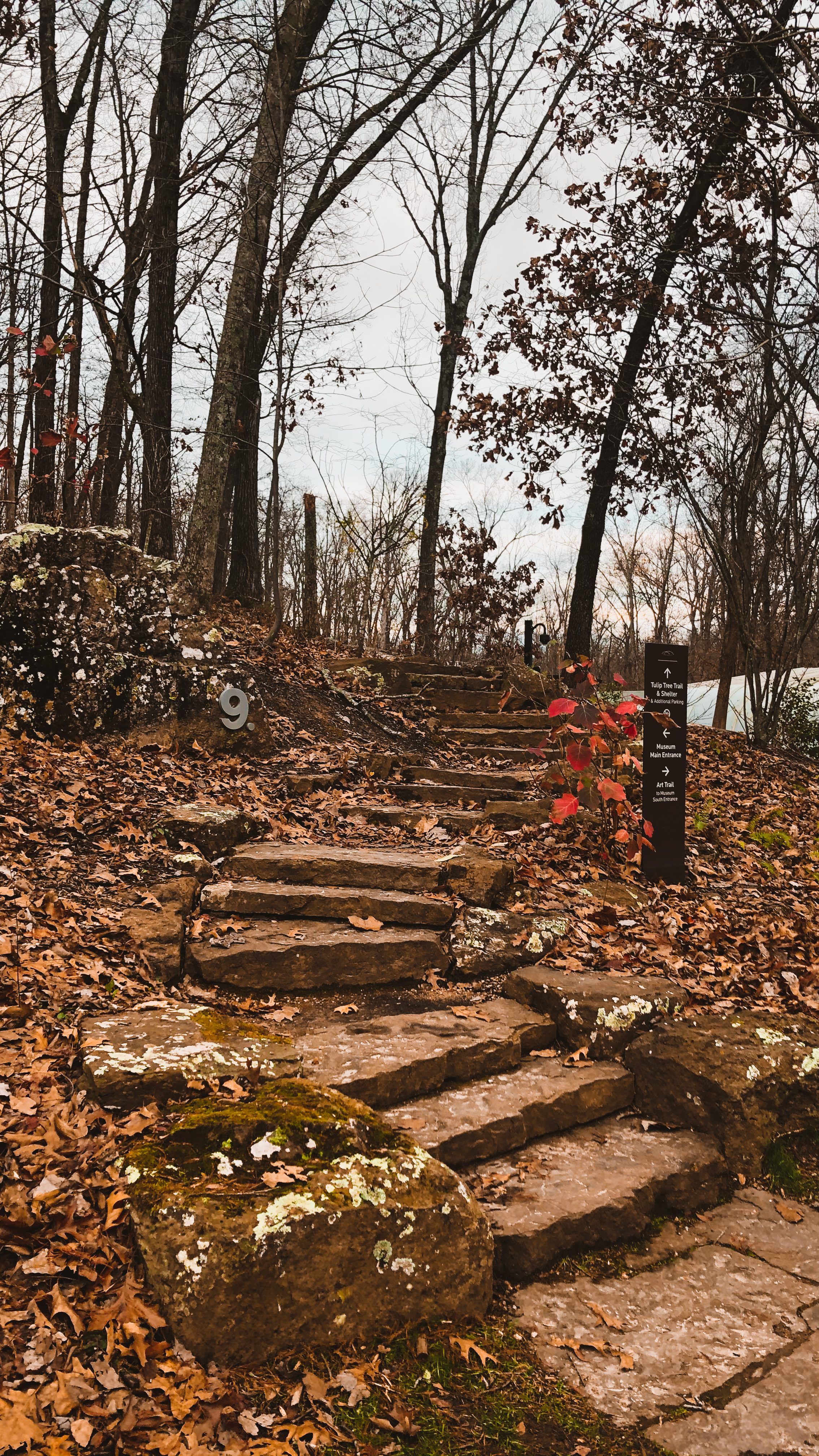 پاییز پارک بِنتُنویل در ایالت آرکانزاس آمریکا