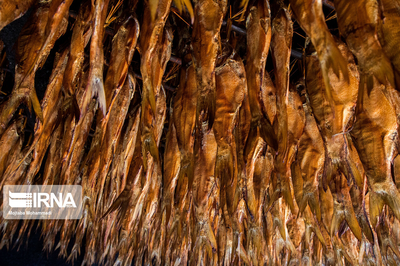 ماهی دودی رشت