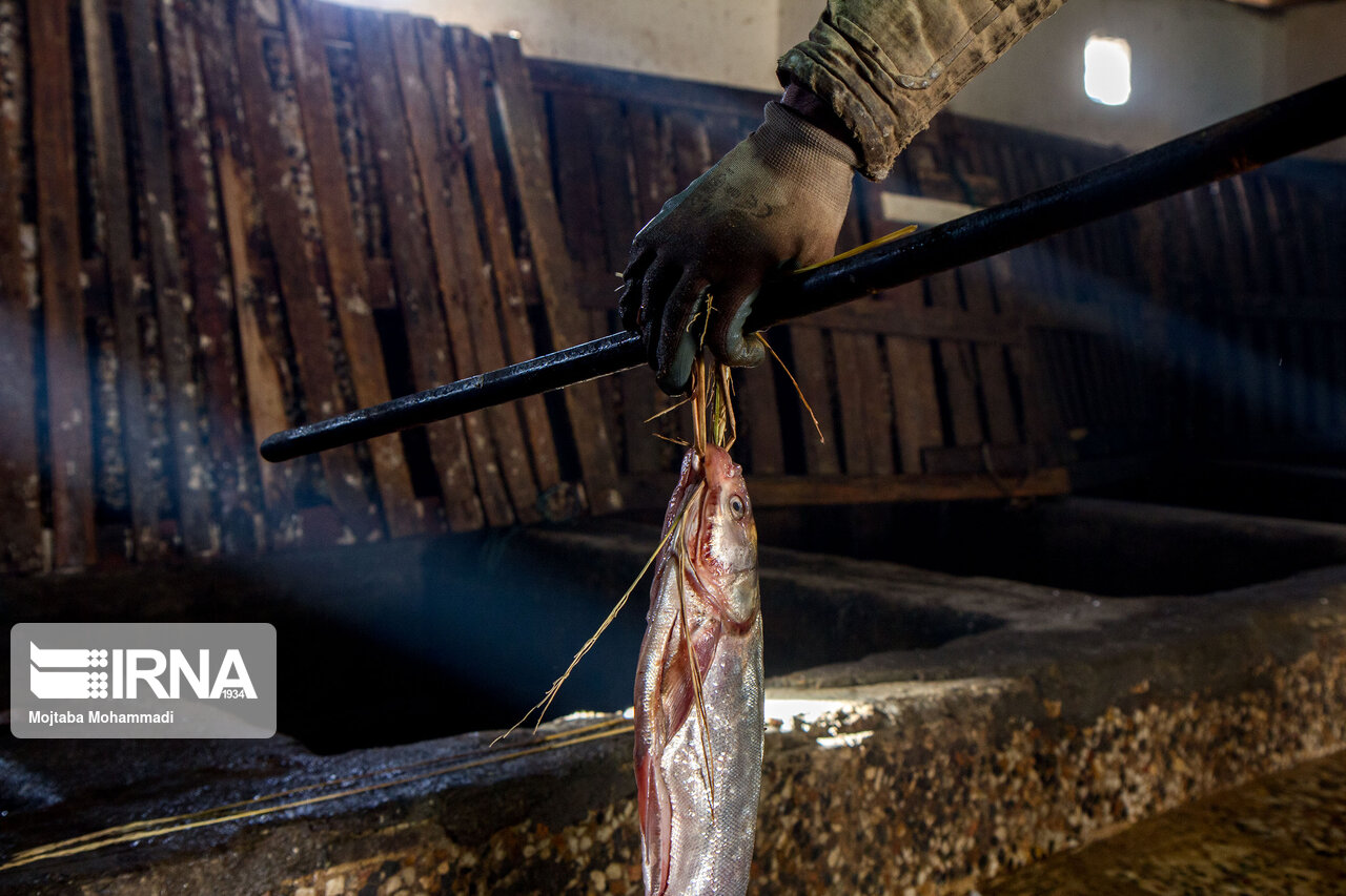 ماهی دودی رشت