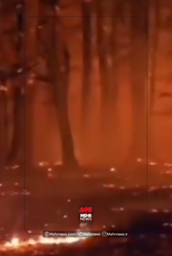 ببینید | آتش‌سوزی جنگل‌های هیرکانی در شرق گلستان؛ وزش باد مهار آتش را سخت و کُند کرده
