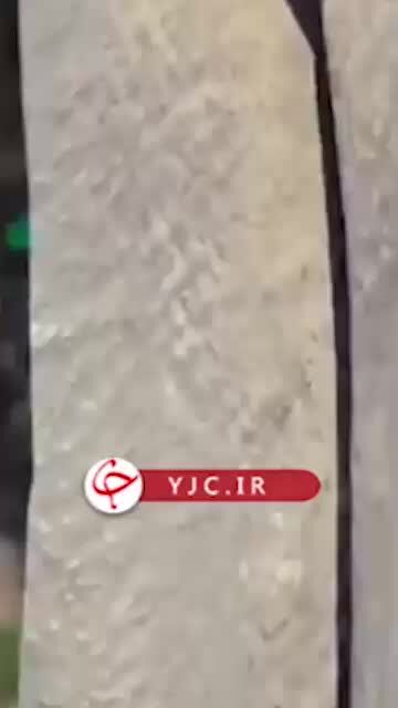 ببینید|  چاقوکشی راننده اتوبوس برای مسافران 