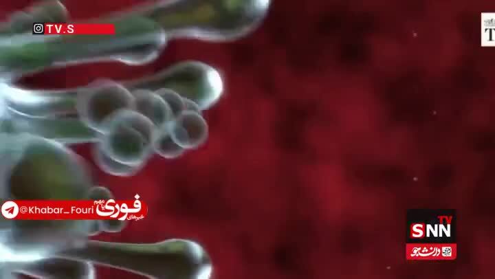 ببینید| تفاوت علائم بیماری آنفولانزا با عوارض آلودگی هوا چیست؟
