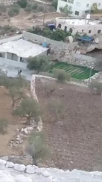 ببینید| حمله شهرک‌نشینان اسرائیل به الخلیل در کرانه باختری