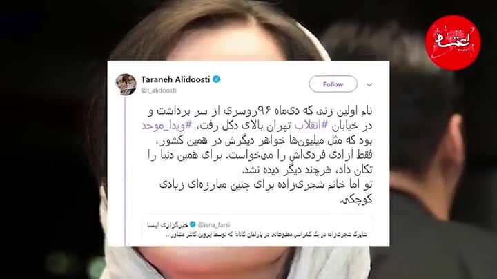 ماجرای اختلاف ترانه علیدوستی با شاپرک شجری‌زاده چه بود؟