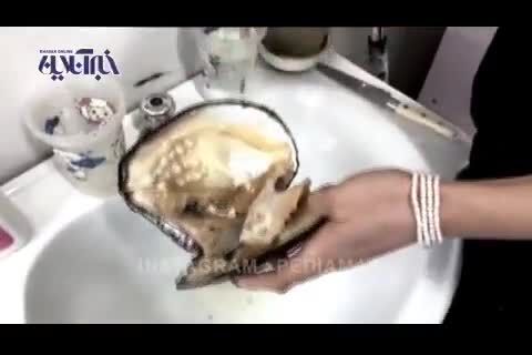 صدفی پر از مروارید + ویدئو