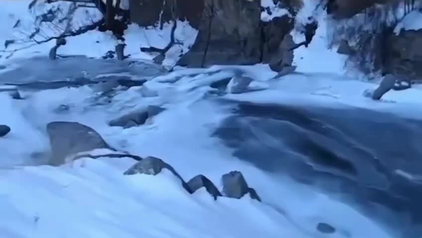 ببینید| یخ‌بندان زمستانی در رودخانه کرج