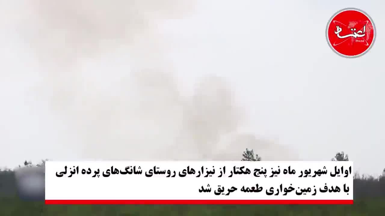 ماجرای آتش‌سوزی نیزارهای شمال کشور چه بود؟