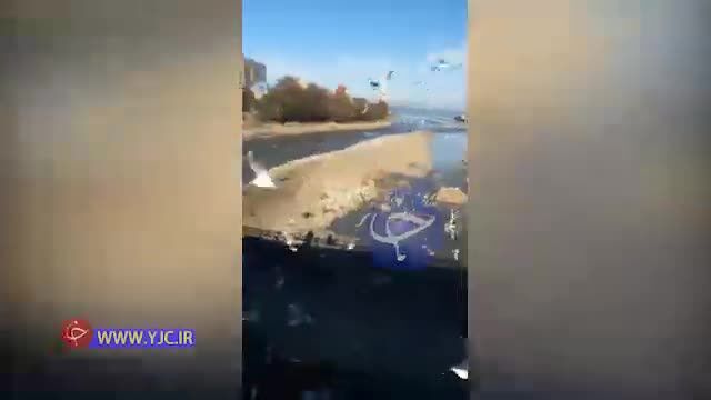 غذا دادن به مرغان دریایی در پل چشمه کیله + ویدئو