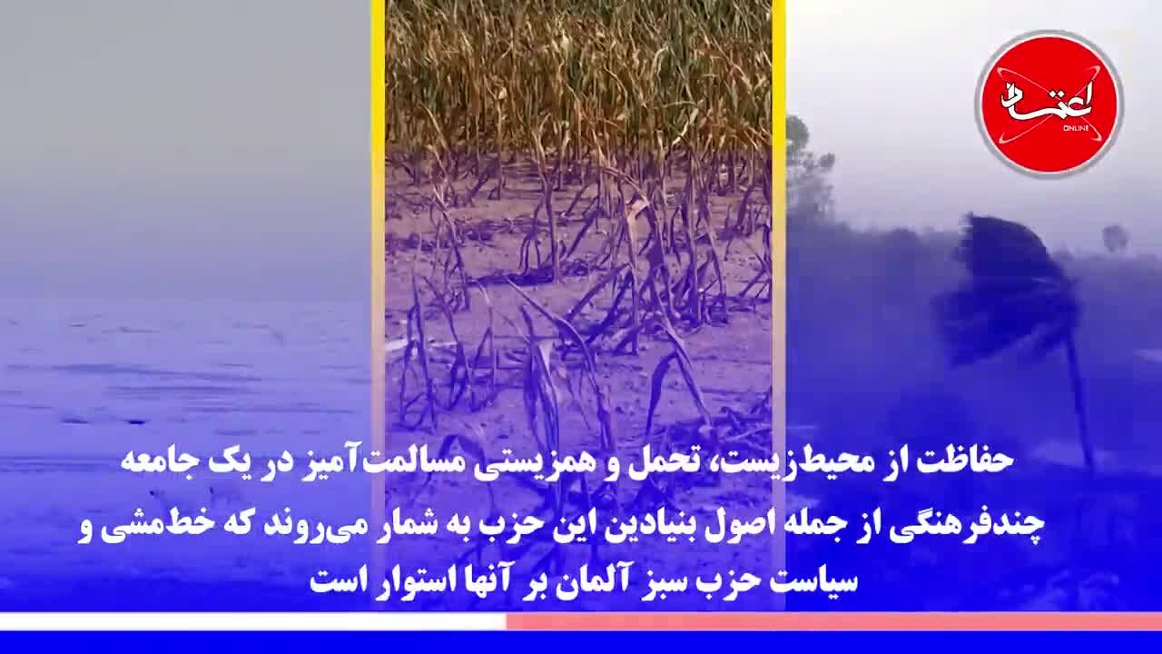 حزب سبز آلمان، حزب محبوب این روزهای آلمان