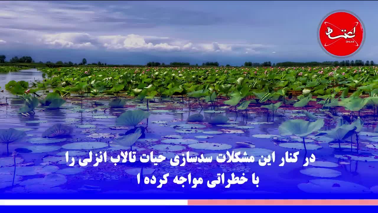 تالاب انزلی در آستانه خشک شدن است؟