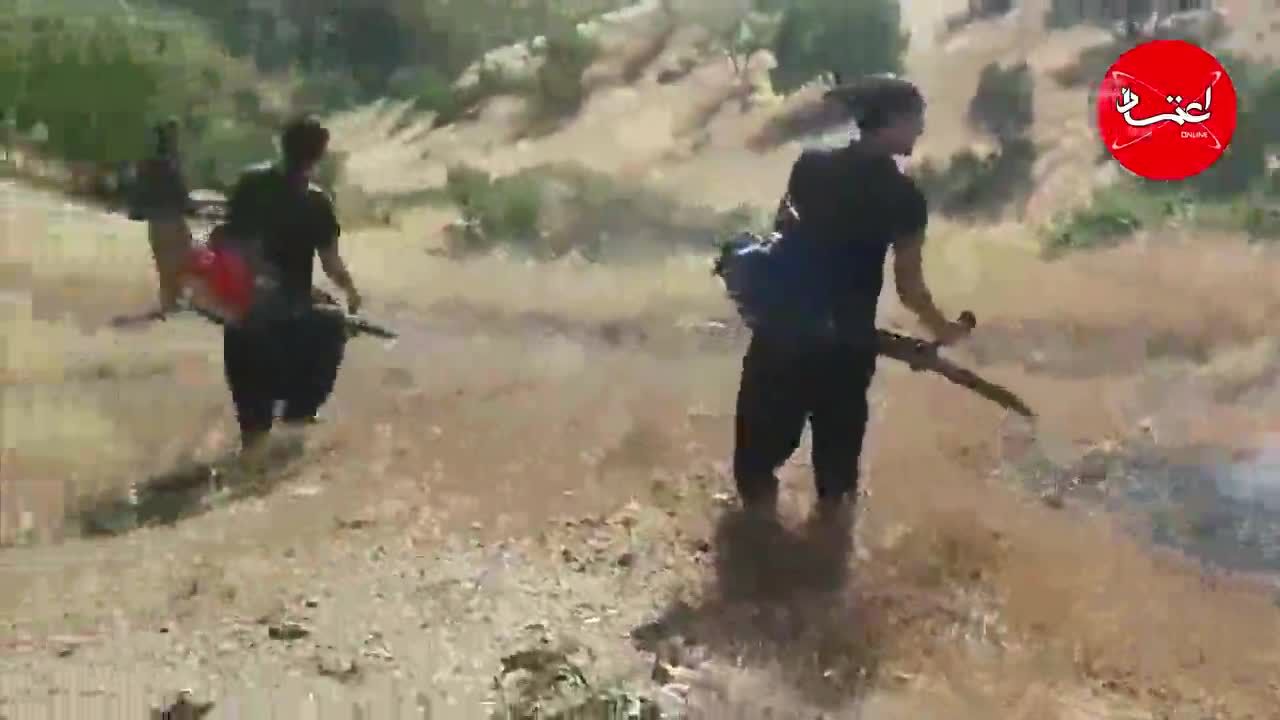 سینه زاگرس از آتش به خِس‌خِس افتاد/ با همین فرمان پیش برویم، نسل آینده ایران نمی‌داند جنگل چیست