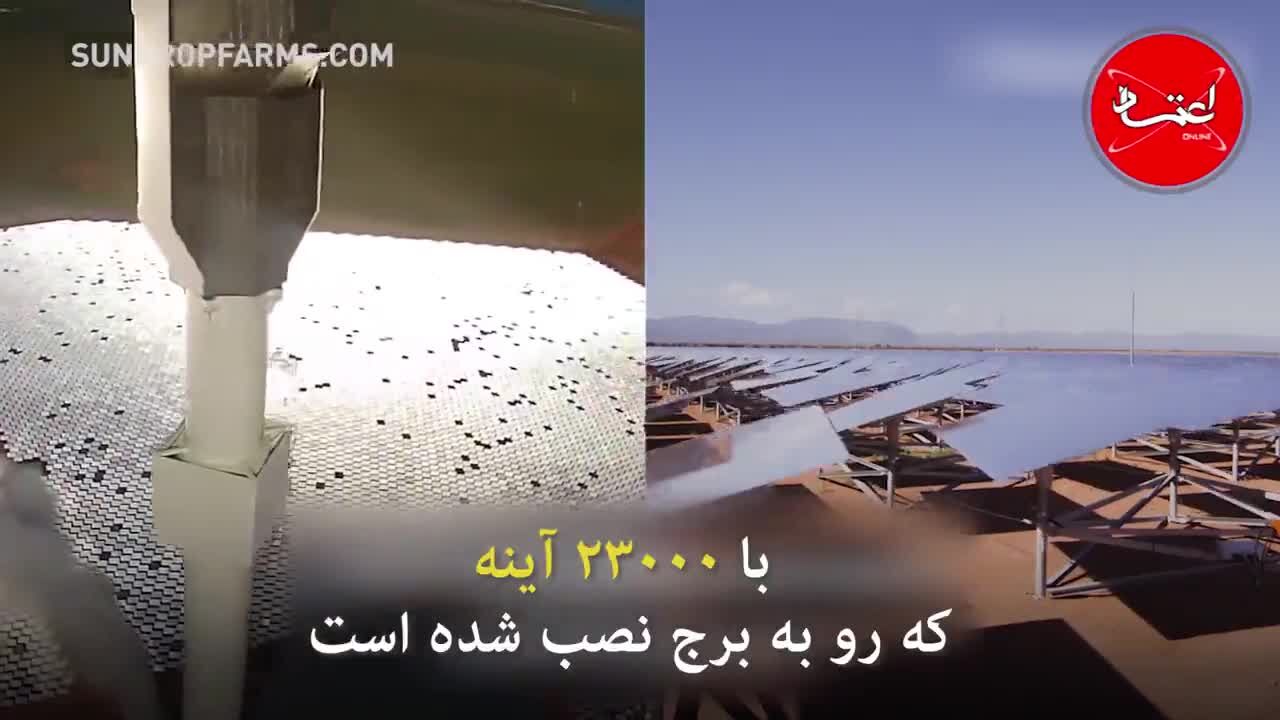 کشت گوجه‌‌فرنگی با آب دریا و آفتاب