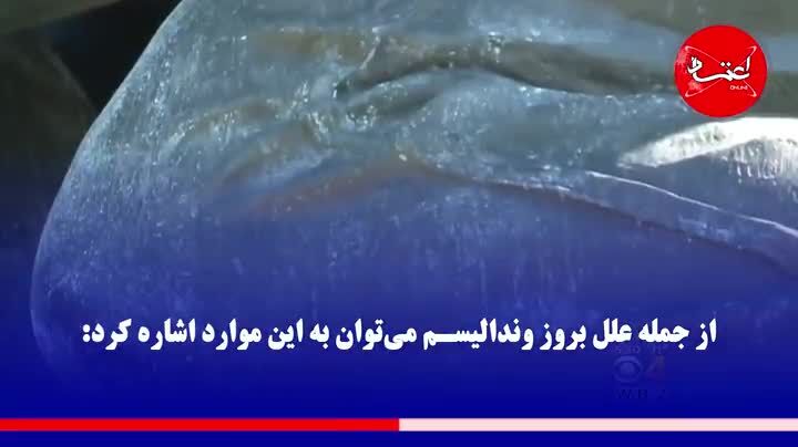 وندالیسم چیست؟