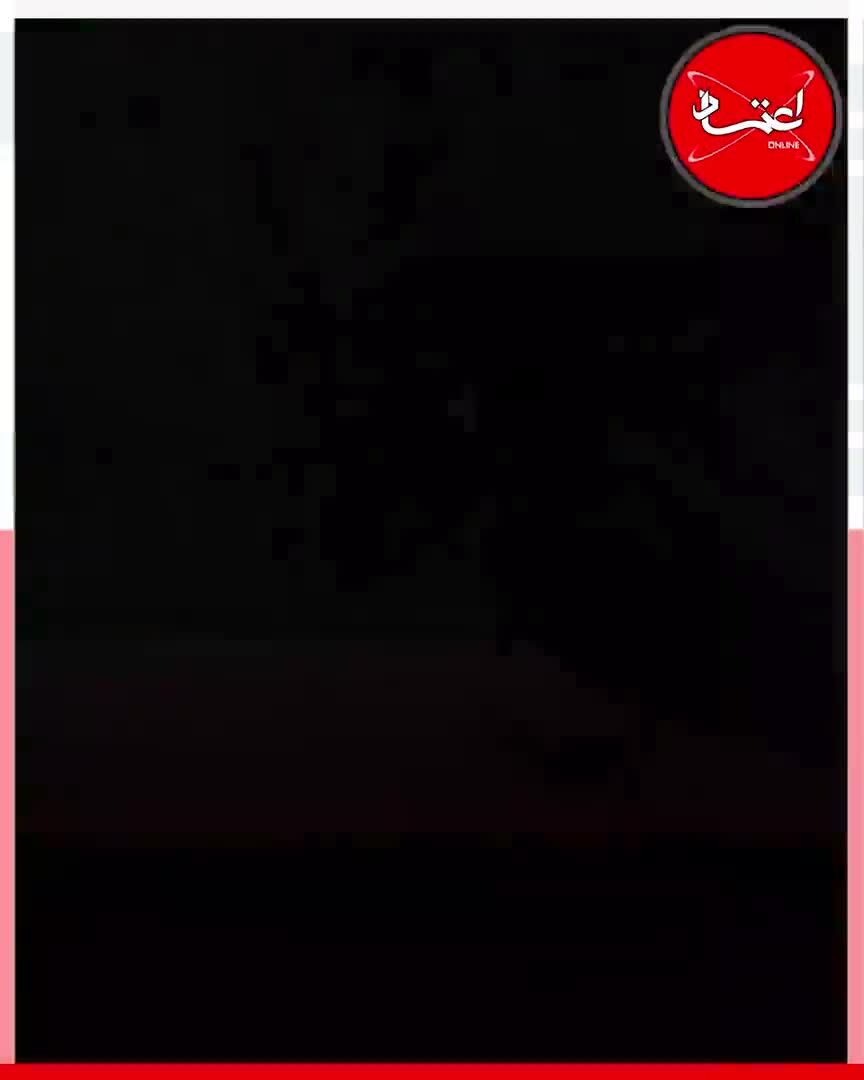 حیوانات را در سرمای زمستان دریابیم