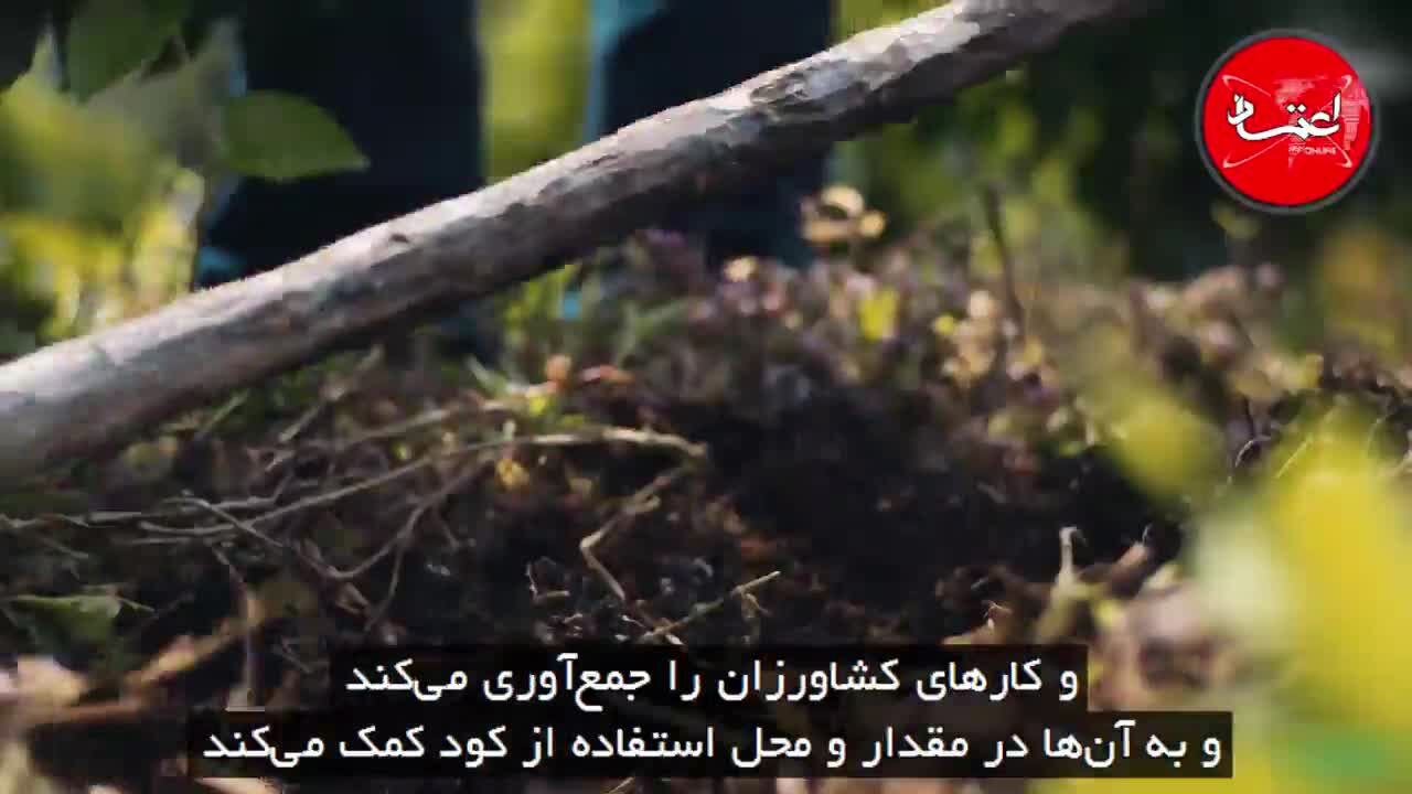کشاورزی دیجیتالی: نوآوری برای تامین غذای جهان