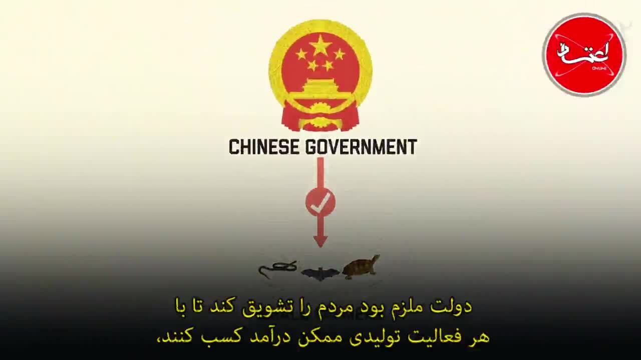چرا بیماری‌های جدید از چین می‌آیند؟