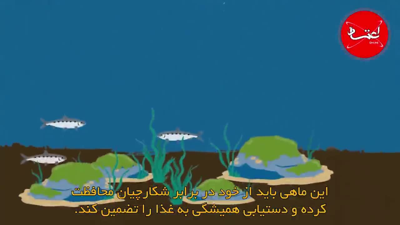 کتاب «سیاست» اثر ارسطو را بیشتر بشناسید