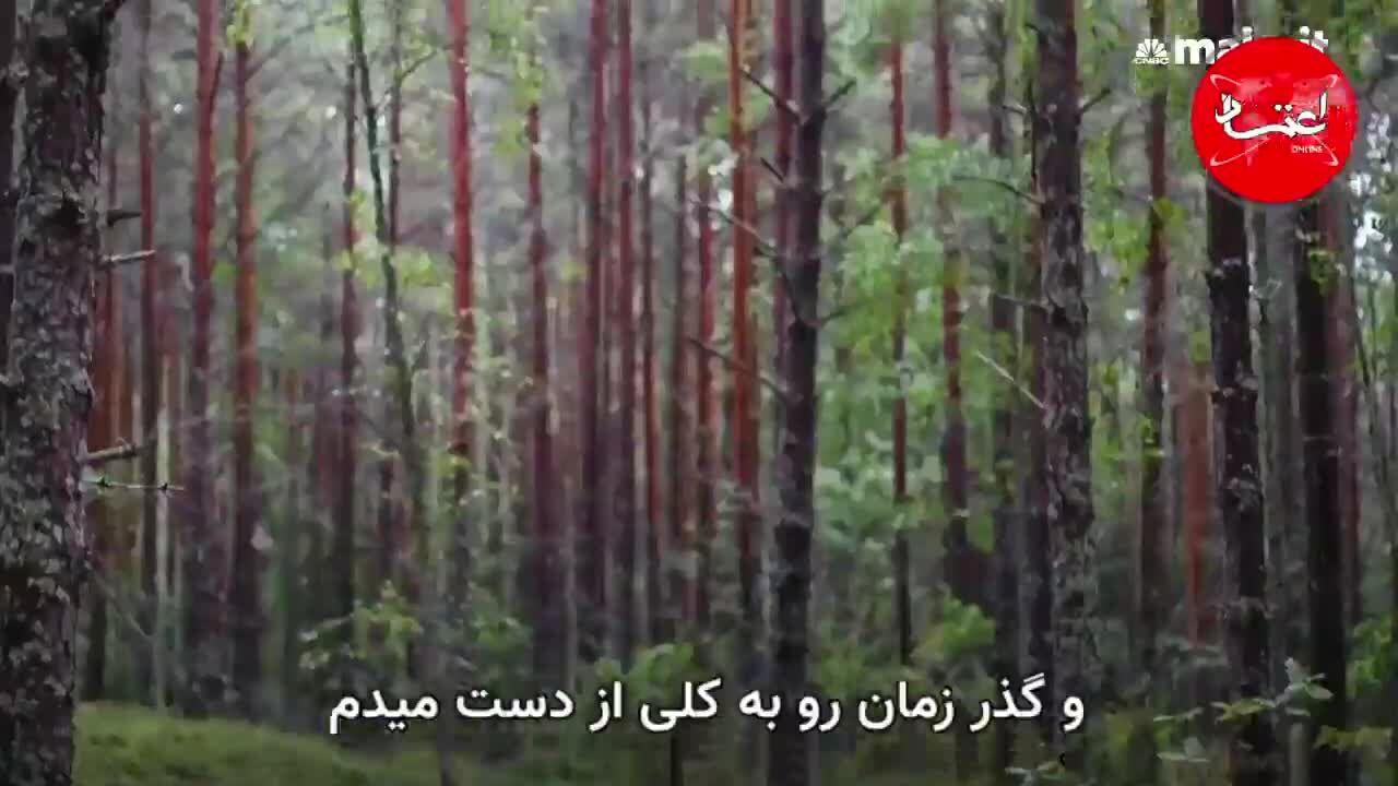 چرا دانمارک و فنلاند شادترین کشورهای جهان هستند؟ (نسخه کامل)