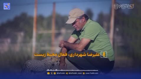 ببینید| مرگ خاموش حیات‌وحش در قلب تهران