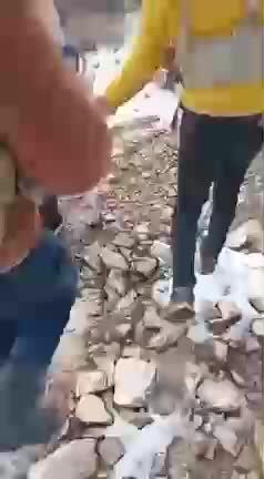 ببینید| اولین فیلم از کوهنورد شیرازی که ساعاتی پیش زنده پیدا شد