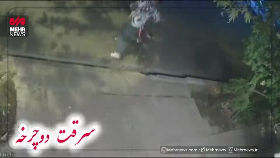 ببینید | نخستین تصاویر از نحوه سرقت زورگیران و سارقان خشن شمال‌غرب تهران از منازل