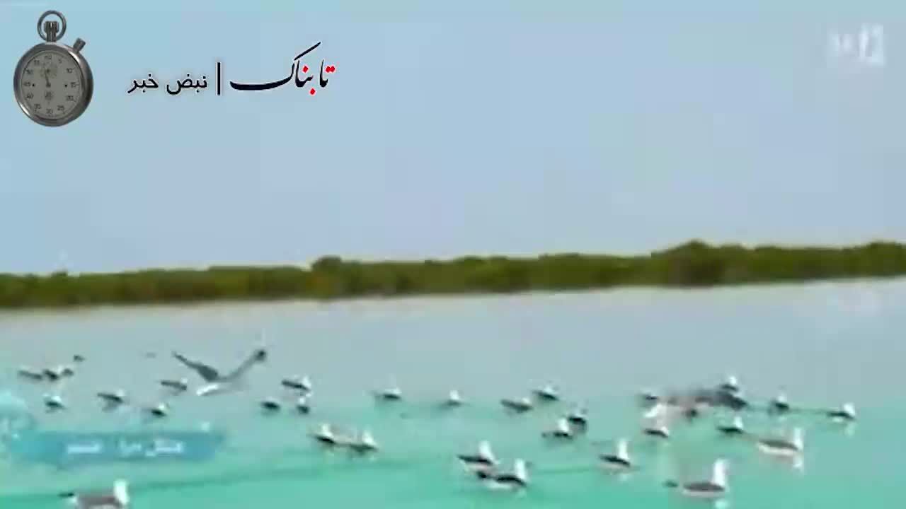 ببینید | اقدام عجیب صداوسیما هنگام پخش زنده کنسرت