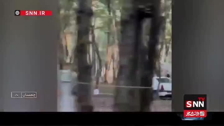 ببینید| ماجرای ویدئوی قطع درختان در چمستان چه بود؟