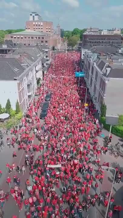ببینید| تظاهرات مردم لاهه در حمایت از فلسطین