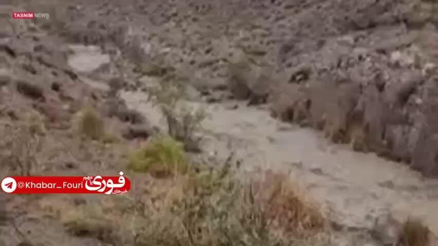 ببینید| بارش شدید مونسون سرگز سیاهو را غافلگیر کرد
