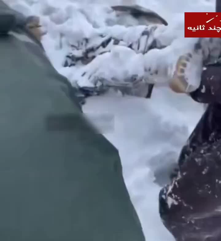 ببینید| لحظه پیدا شدن شهید مرزبان کهگیلویه و بویراحمدی رحیم مجیدی