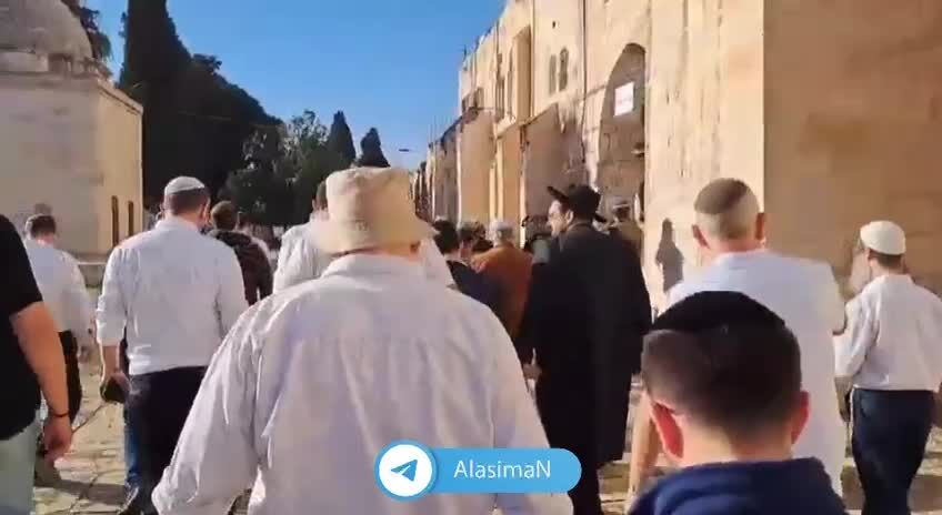 ببینید| تعرض شهرک‌نشینان اسرائیلی به مسجدالاقصی 
