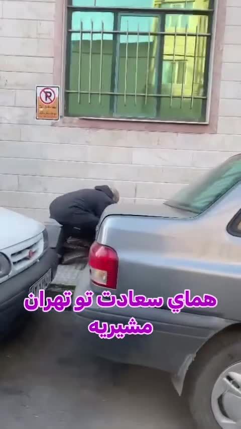 ببینید| پرنده «همای سعادت» در مشیریه تهران دیده شد!