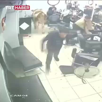 ببینید| ورود ناگهانی و خسارت‌بار گاو قربانی به یک آرایشگاه در استانبول