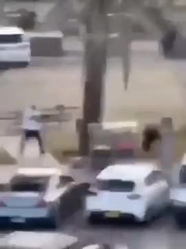 ببینید| مسلمانی که جان دهها یهودی را در حمله سیدنی نجات داد